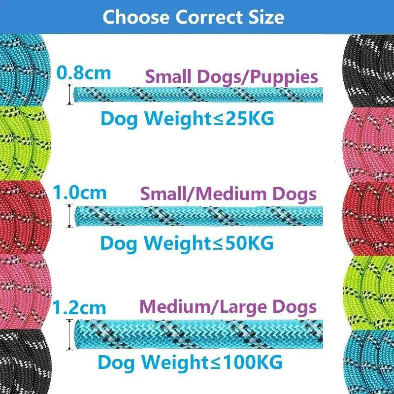 Strong Leash For Dogs With Soft Handle And Reinforced Design