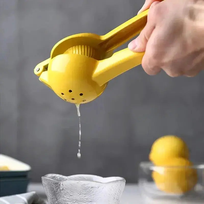 Portable Aluminum Lemon Squeezer And Mini Blender Kit Set