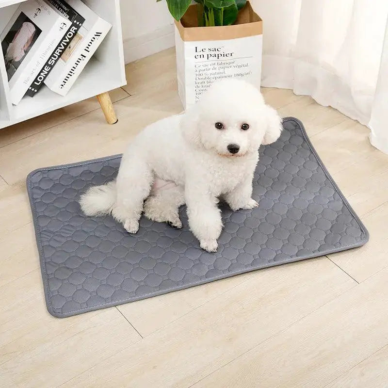 Reusable Dog Pee Pad Blanket For Pet Training And Care