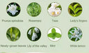 Smart Display Aromatherapy Diffuser