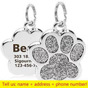 Engraved Pet ID Tag: Personalized Nameplate Keyring Safety