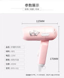 Hair Dryer for Travelers Fast Drying
