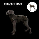 Reflective Large Dog Winter Jacket for Whippets & Greyhounds