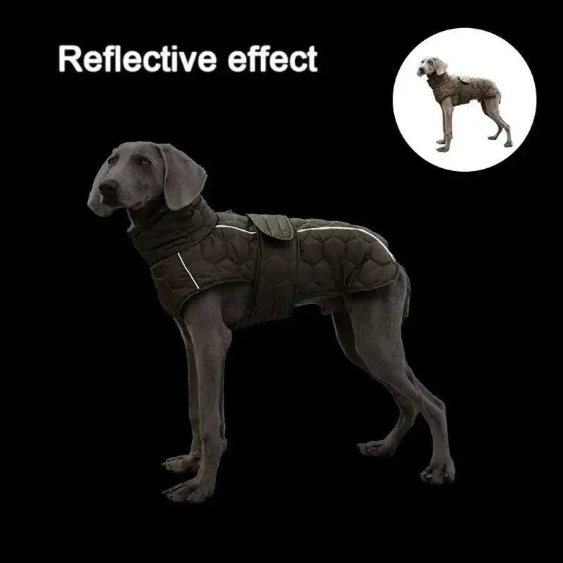 Reflective Large Dog Winter Coat for Whippets and Greyhounds
