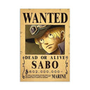 One Piece Luffy Poster for Anime Fans