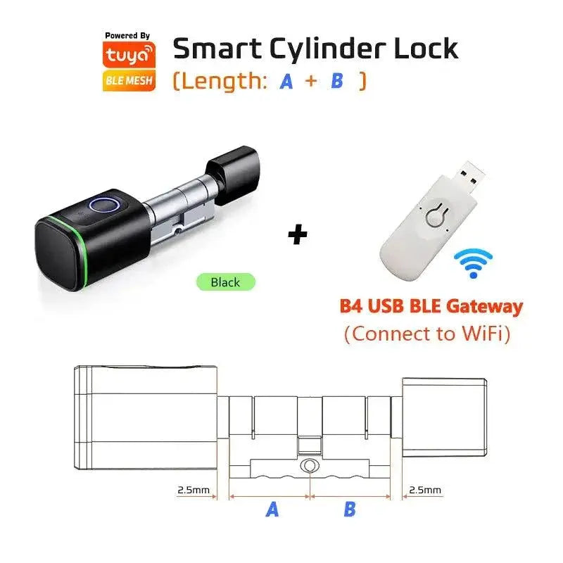RayKube Door Lock Remote Access — Tuya Silver