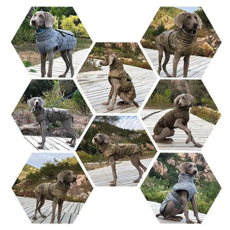 Reflective Large Dog Winter Coat for Whippets and Greyhounds