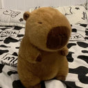 Soft Capybara Plush Toy for All Ages