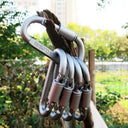 Carabiner Set for Outdoor Gear Security