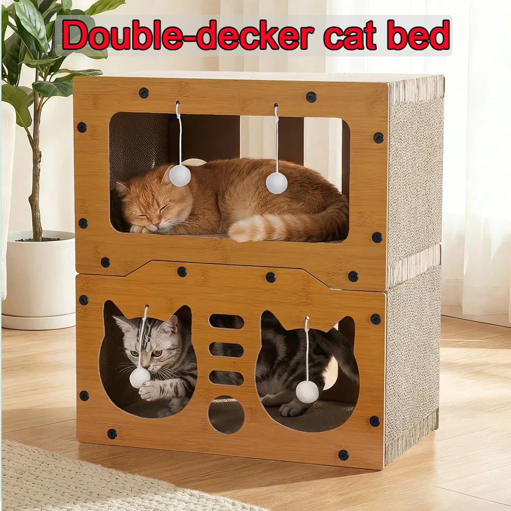House Cat House Cat
