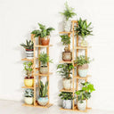 Bamboo 5 / 6 Tier Plant Stand Rack Multiple Flower Pot Holder Shelf Indoor Outdoor