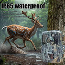Night Vision Trail Camera for Hunters