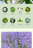 Automatic Aroma Diffuser for Calm Living