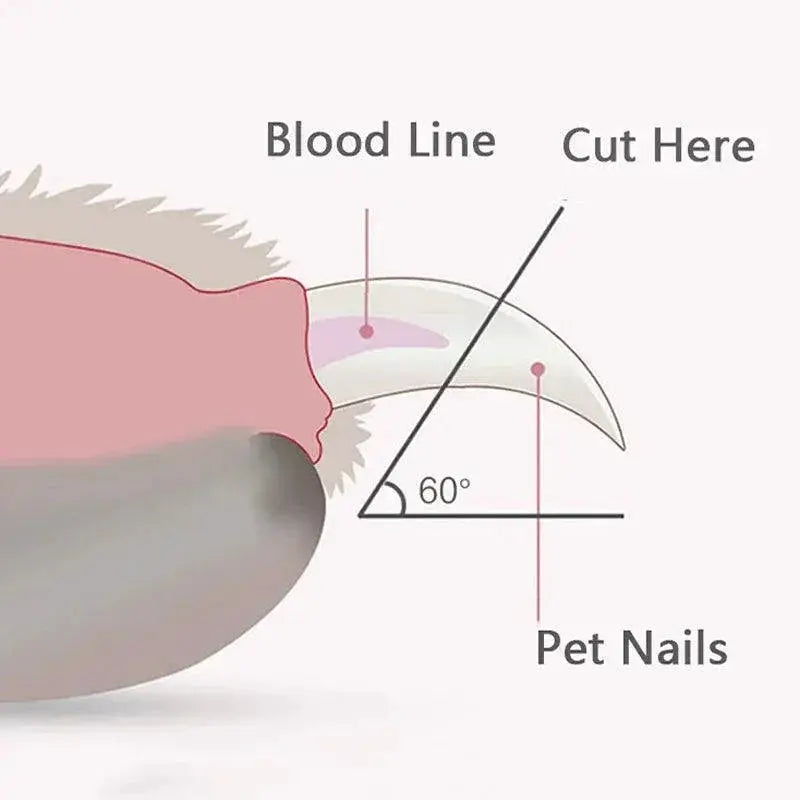 Professional LED Pet Nail Clippers For Dogs Cats Small Pets