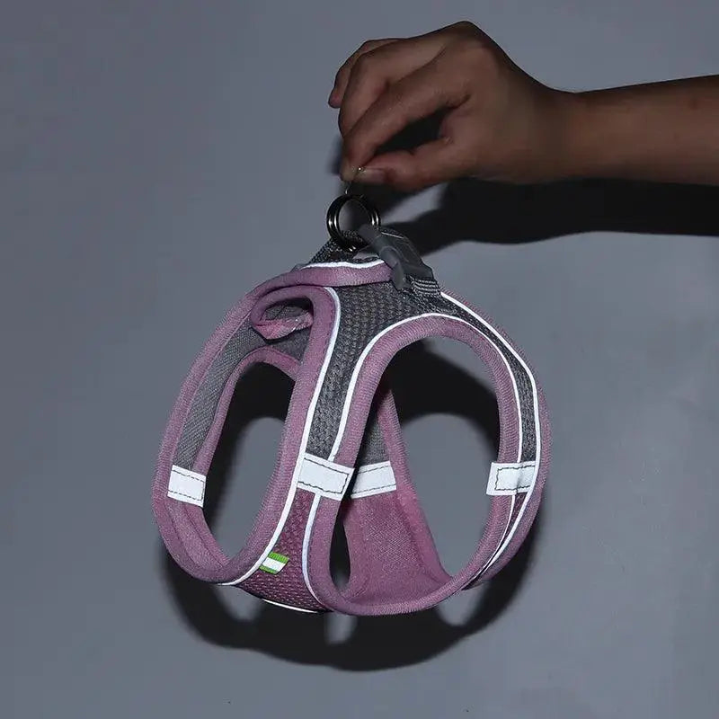 Escape Proof Cat And Dog Harness Set With Leash For Pets