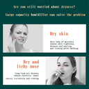 USB Air Humidifier With Aromatherapy & Dual Spray For Home