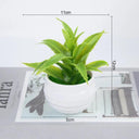 Artificial Bonsai Plant Set for Home, Office & Hotel Decor