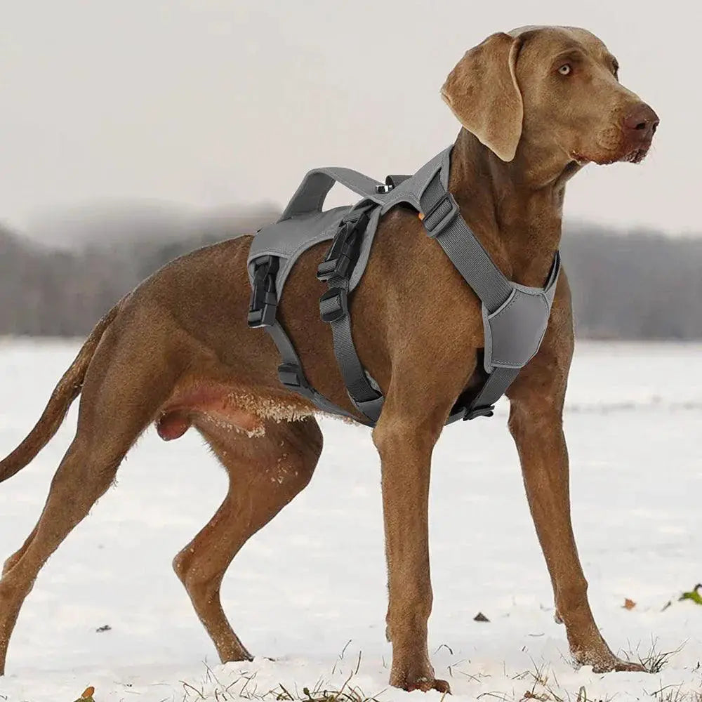 Reflective Waterproof Dog Harness Vest With Handle