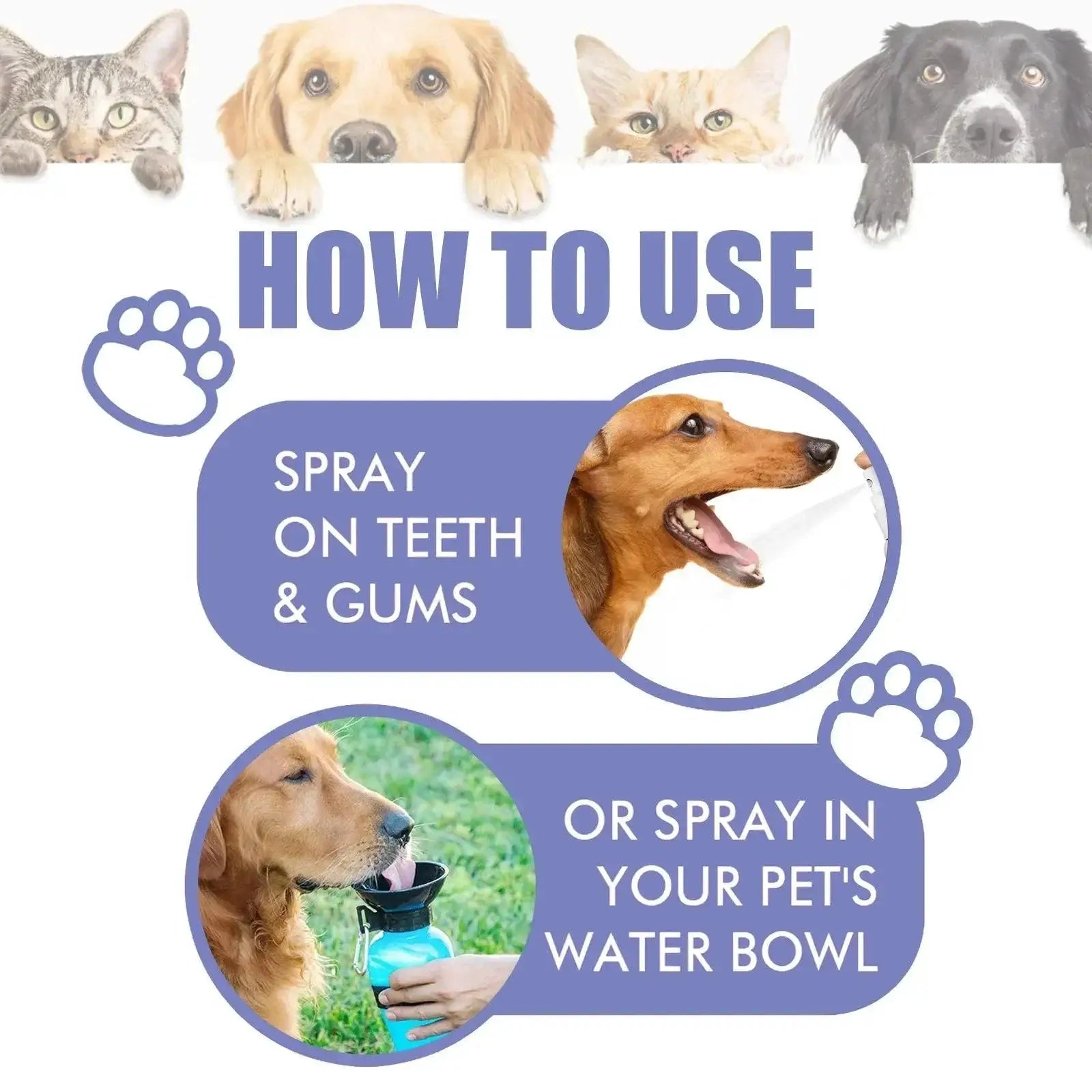 Pet Oral Care Spray Freshen Breath and Whiten Teeth