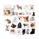 Easy Decorating Cat Stickers for Crafts
