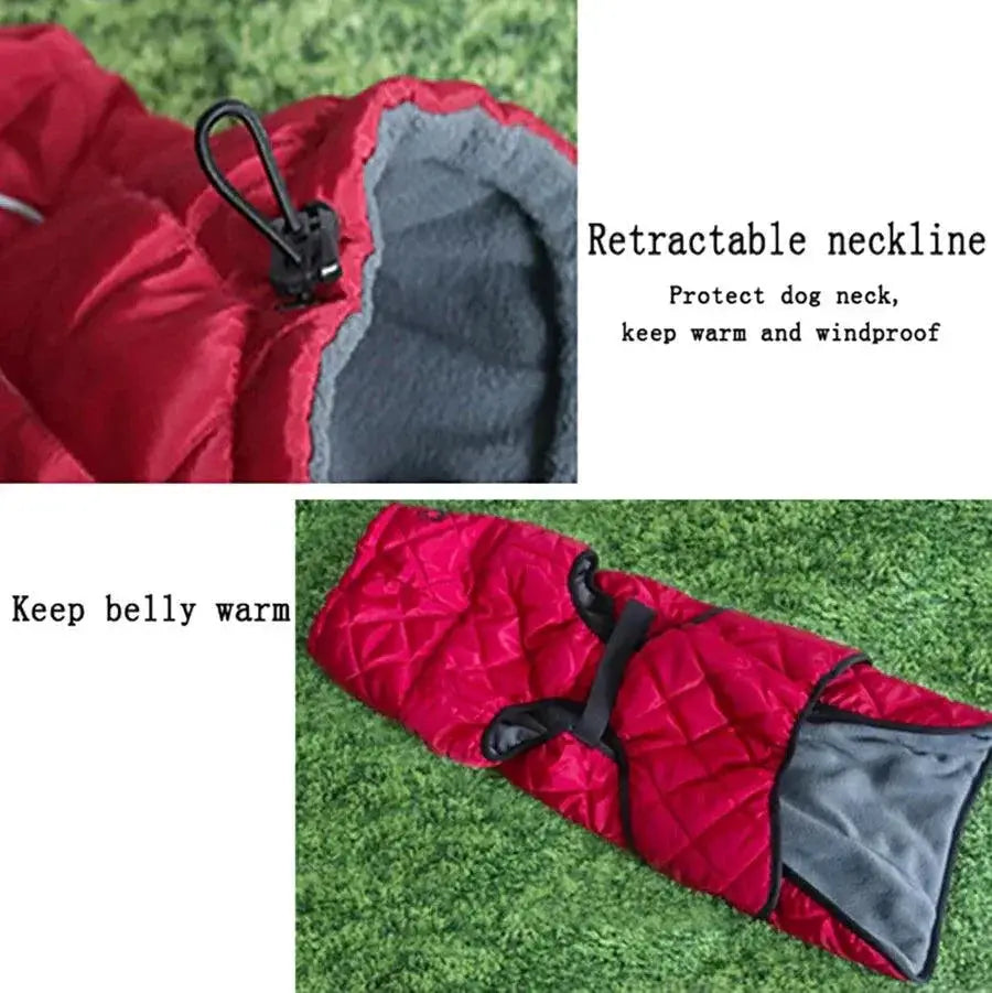 Labrador Winter Jacket Waterproof Reflective Coat For Dogs
