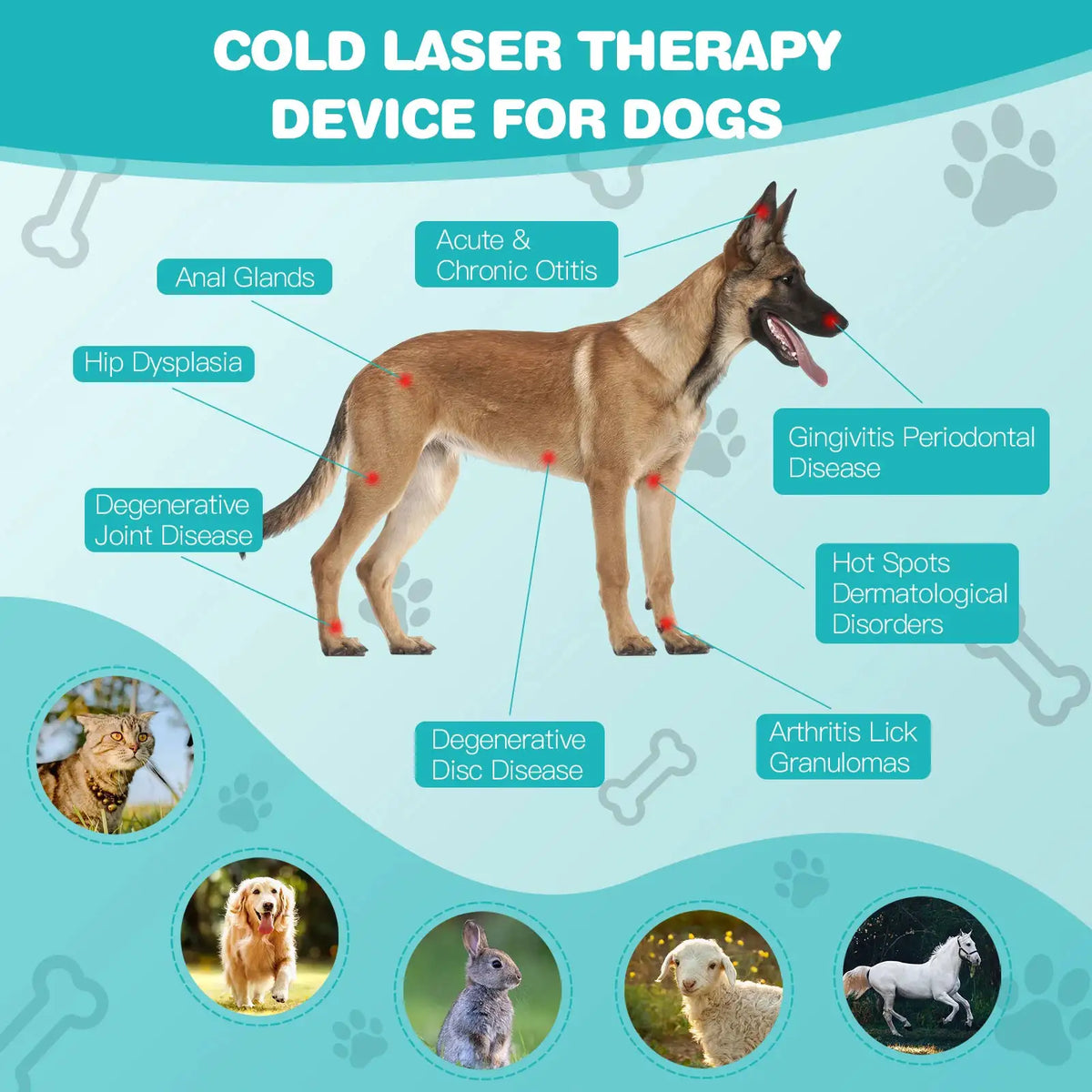 Pet Red Light Therapy Device for Dogs Cats Cold Laser — product view 6