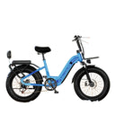 1000W Fat Tire Electric Bike For Adults