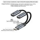 USB C 2 In 1 Aux And 100W Charger