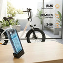 Powerful Fat Tire Electric Bike