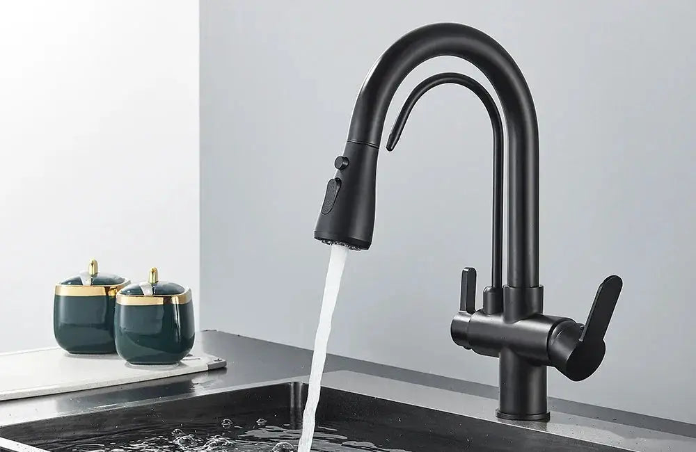 Filtered Water Kitchen Faucet - Homes — product view 16