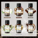 EUQEE 6 Piece Fragrance Oil Gift Set For Diffuser Oils