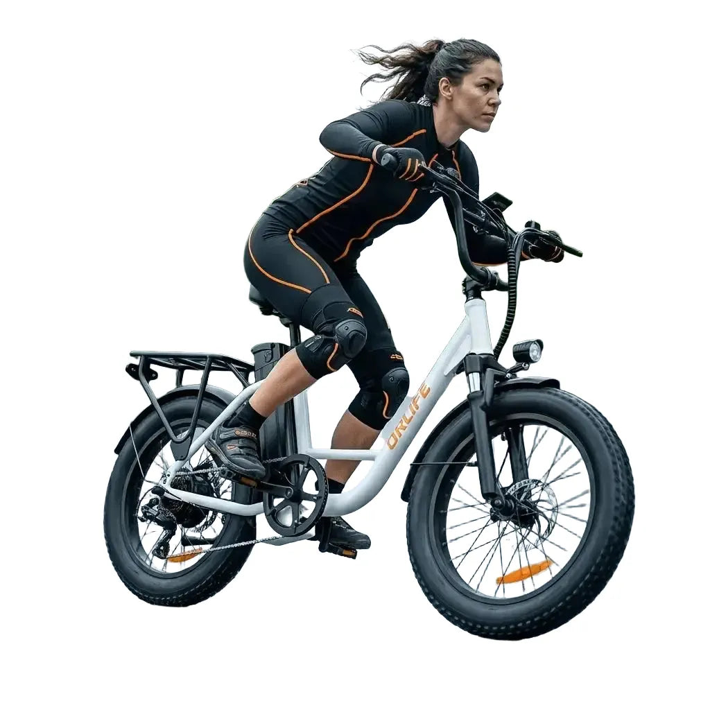 URLIFE Fat Tire EBike for Custom Setups — product view 1