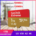 SanDisk High Endurance Micro SD Card