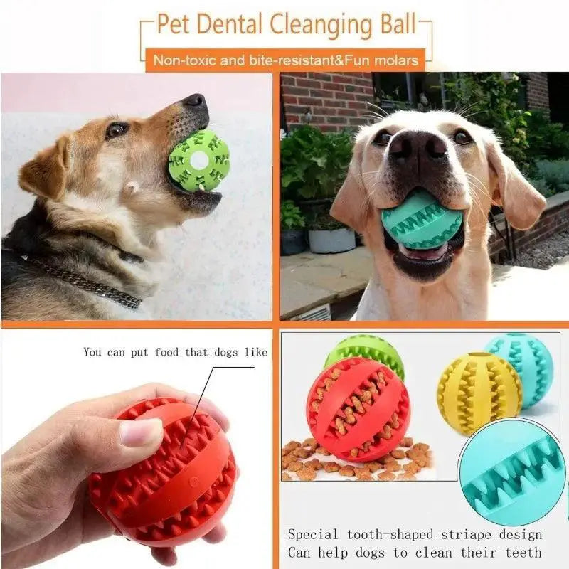 Eco Friendly Rubber Dog Dental Ball Chew Toy Snack Dispenser