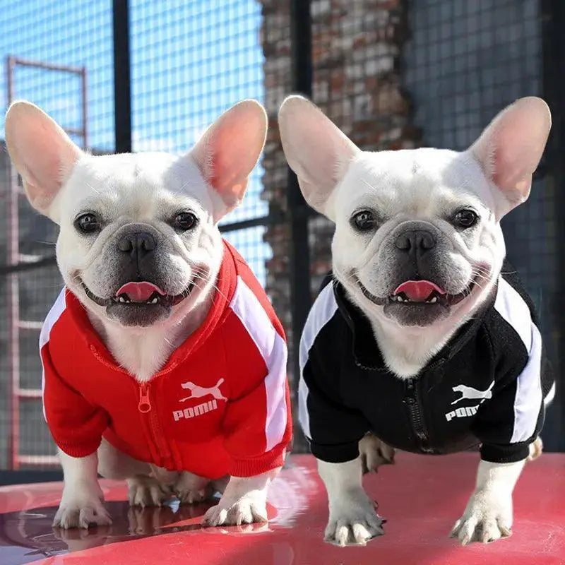 Winter Pet Baseball Jacket For Small To Medium Dogs