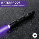 UV Flashlight 395nm - Detects Scorpions And Urine