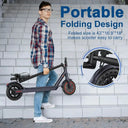Ladped 350W Folding Electric Scooter