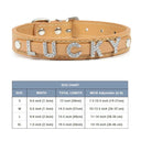 Leather Personalized Pet Collar with Rhinestone Letters for Dogs