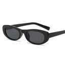 Chic Women's Cat Eye Sunglasses 2023 Oval Black Eyewear
