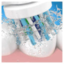 Oral B EB50 Brush Heads for Daily Clean