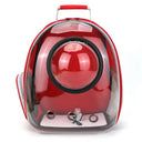 Pet Capsule Backpack With Clear Window And Ventilation