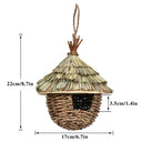 Eco Parrot Birdhouse for Outdoor Gardens