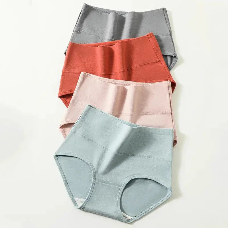 Plus Size High Waist Cotton Panties 4 Pack Women Underwear