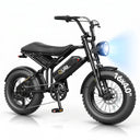 Qlife Spark D1 Fat Tire Electric Bike