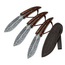 Precision Chef Knife for Home Cooks