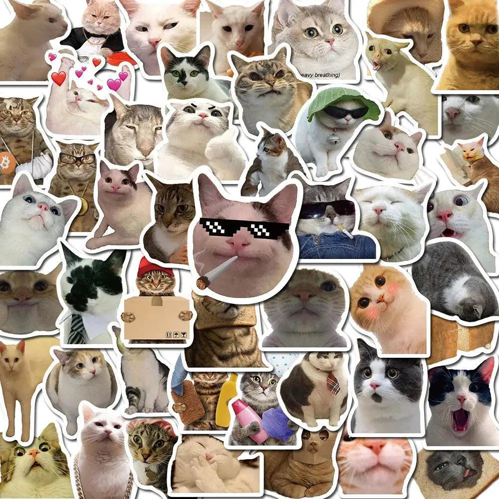 Cat Meme Funny Animals Stickers Vintage Decals for Kids