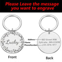 Personalized Engraved Pet ID Tags for Dogs and Cats Stylish Reflective