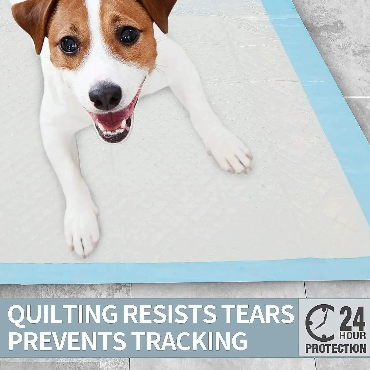 Super Absorbent Pet Diaper Training Pee Pads Leak Proof