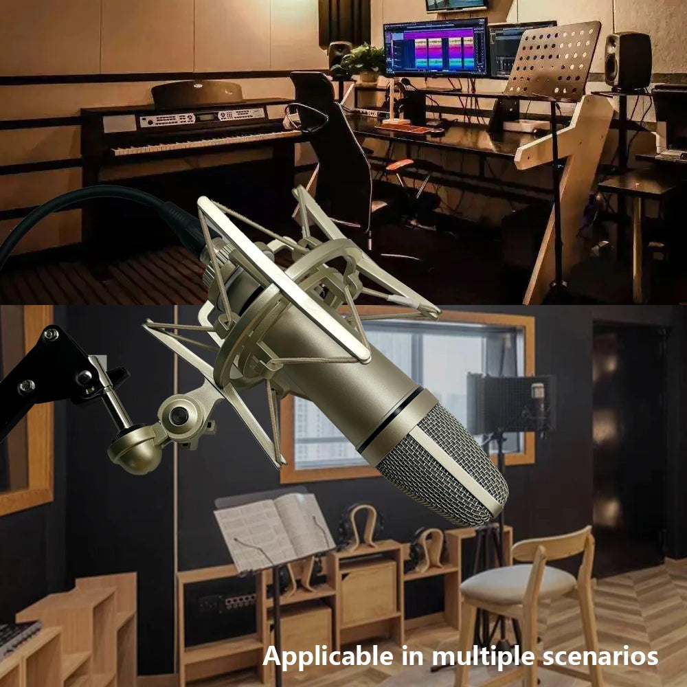 Microphone Clearer Voice