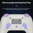 Anbernic Game Controller Play